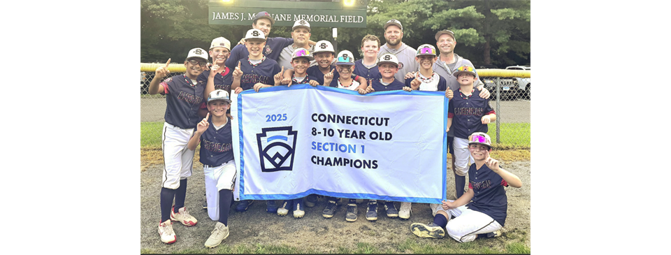 2025 - 10U Sectional Champions